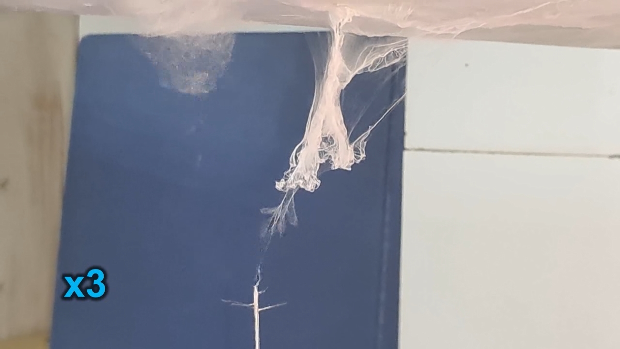 Electrospinning: Solutions of Polystyrene and Polyvinylidene Difluoride in Dimethylformamide